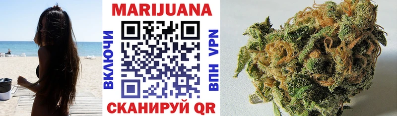 Каннабис OG Kush Сасово